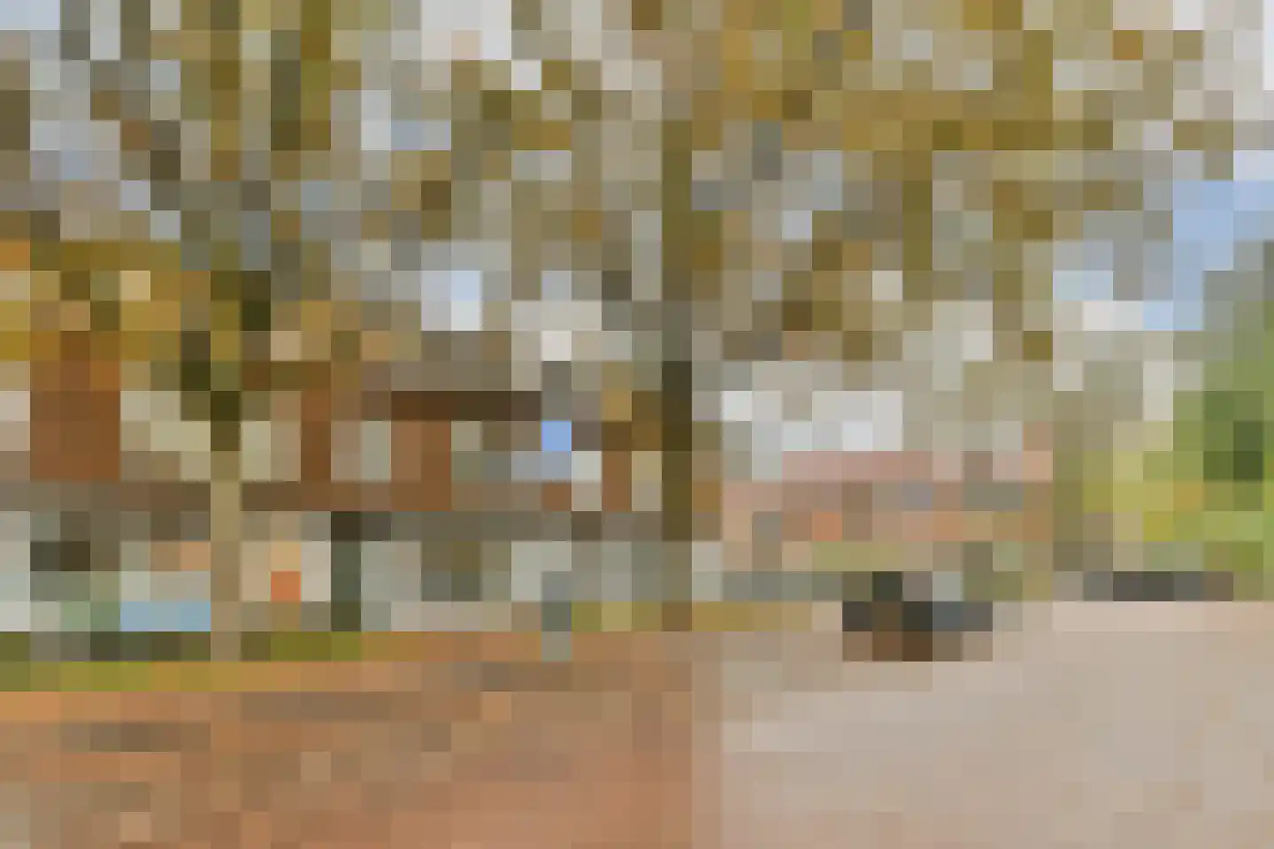 Roomburgerlaan 18 Leiden thumbnail 16
