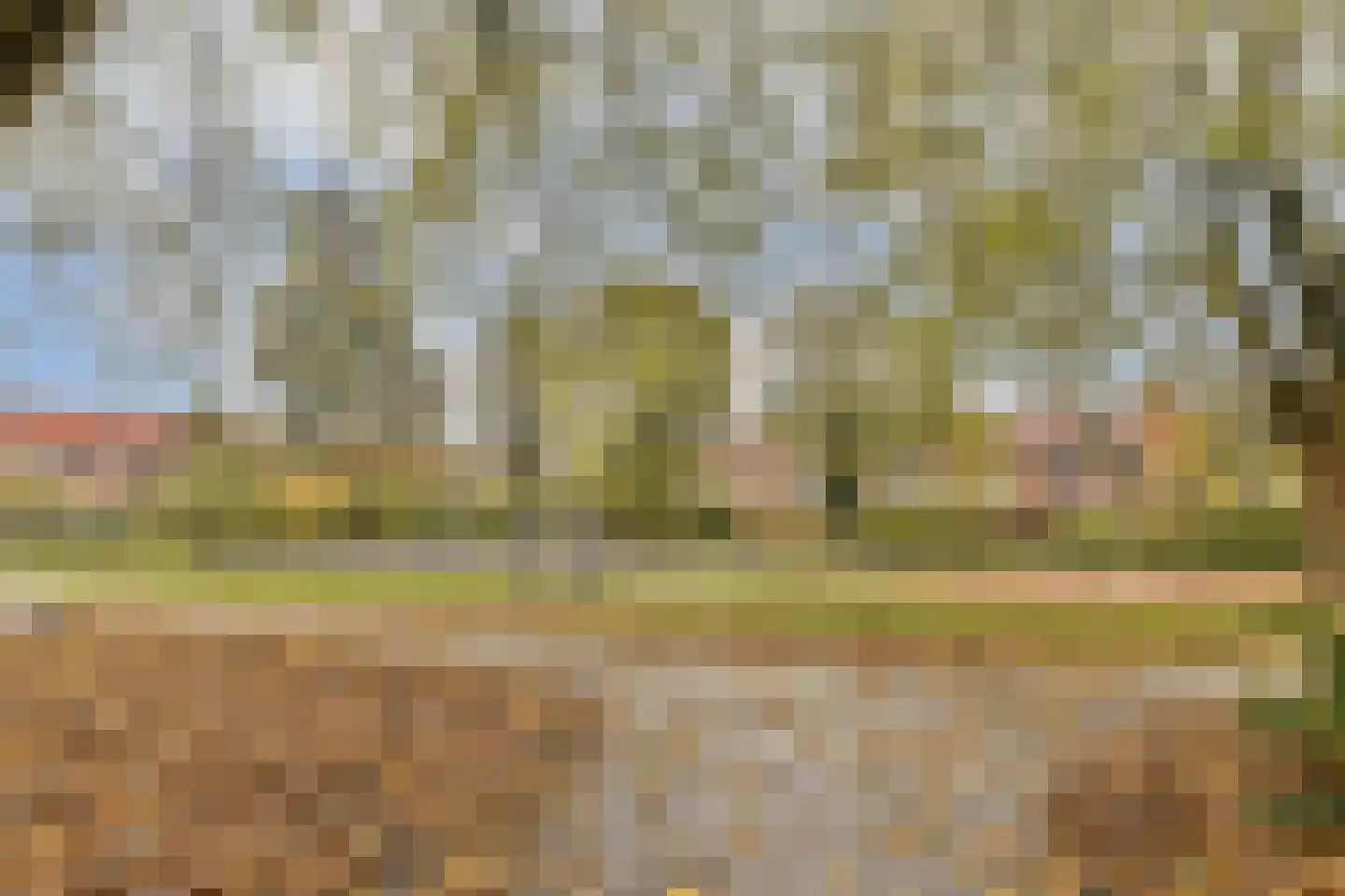 Roomburgerlaan 18 Leiden thumbnail 16