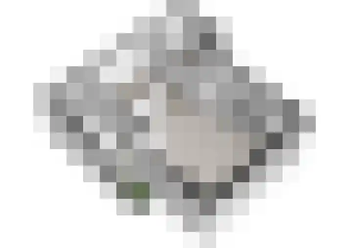 Roomburgerlaan 18 Leiden thumbnail 18