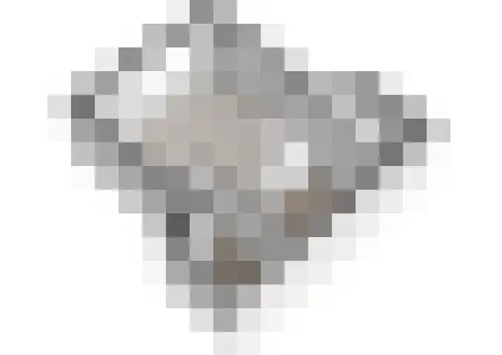 Roomburgerlaan 18 Leiden thumbnail 19