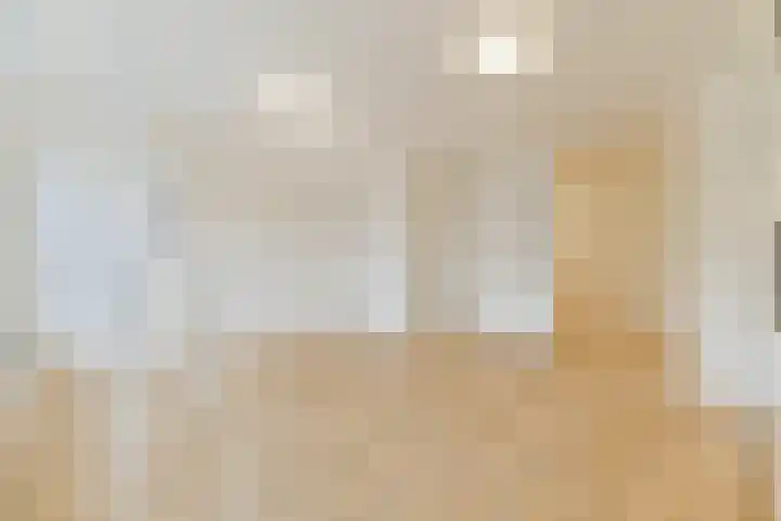 Roomburgerlaan 18 Leiden thumbnail 4