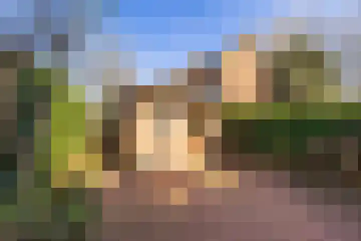 Roomburgerlaan 26 Leiden thumbnail 18