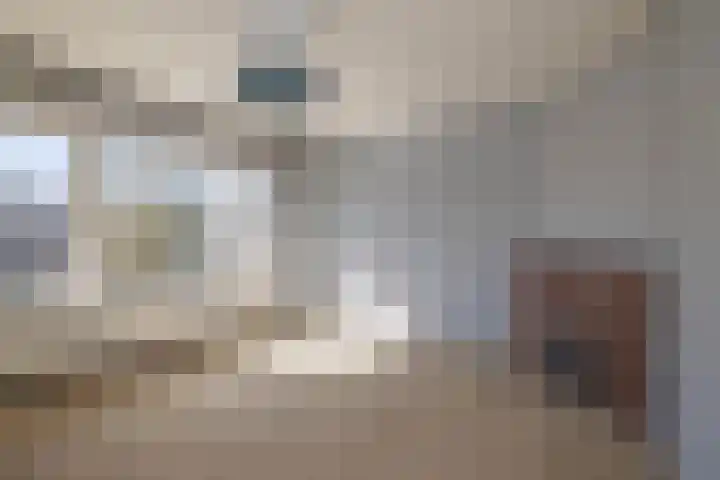 Roomburgerlaan 26 Leiden thumbnail 24
