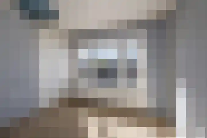 Roomburgerlaan 26 Leiden thumbnail 25