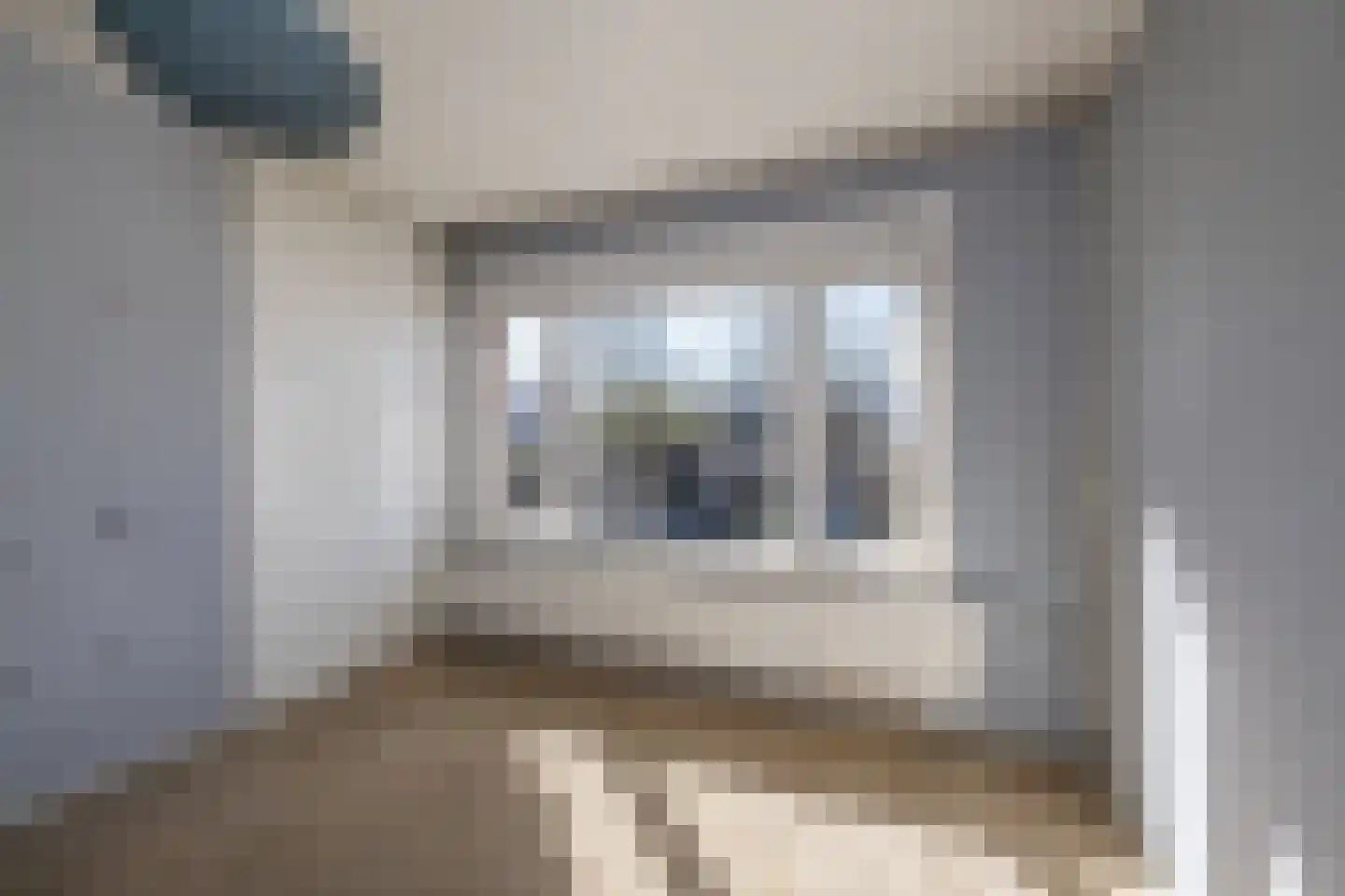 Roomburgerlaan 26 Leiden thumbnail 25