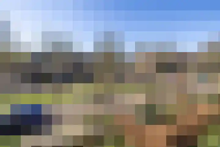 Roomburgerlaan 26 Leiden thumbnail 27