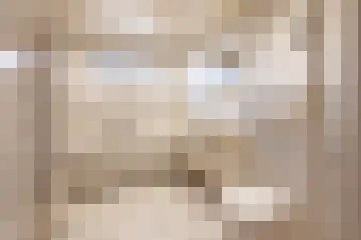 Roomburgerlaan 26 Leiden thumbnail 29