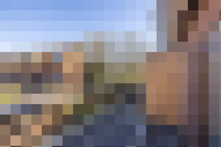 Roomburgerlaan 26 Leiden thumbnail 33
