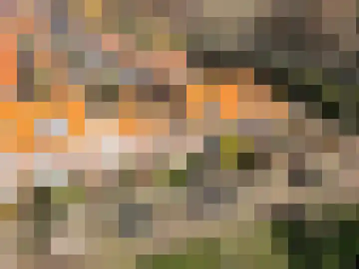 Roomburgerlaan 26 Leiden thumbnail 5