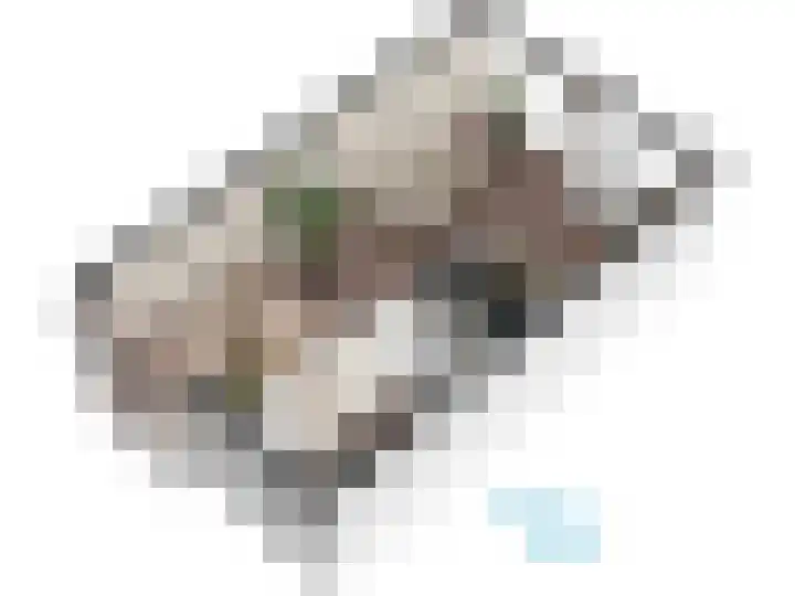 Roomburgerlaan 26 Leiden thumbnail 56