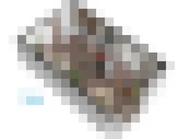 Roomburgerlaan 26 Leiden thumbnail 57