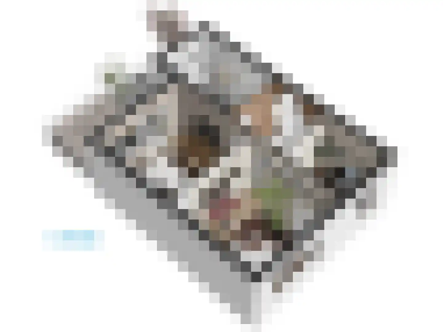 Roomburgerlaan 26 Leiden thumbnail 61