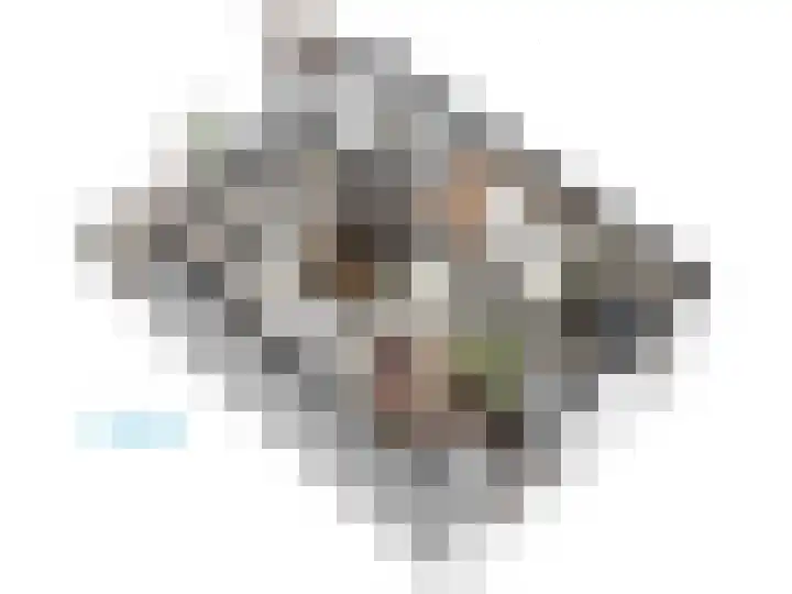 Roomburgerlaan 26 Leiden thumbnail 61
