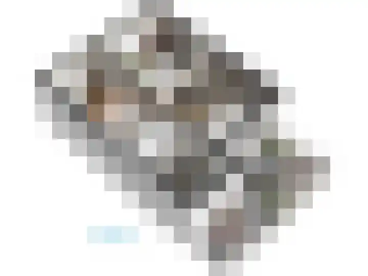 Roomburgerlaan 26 Leiden thumbnail 63
