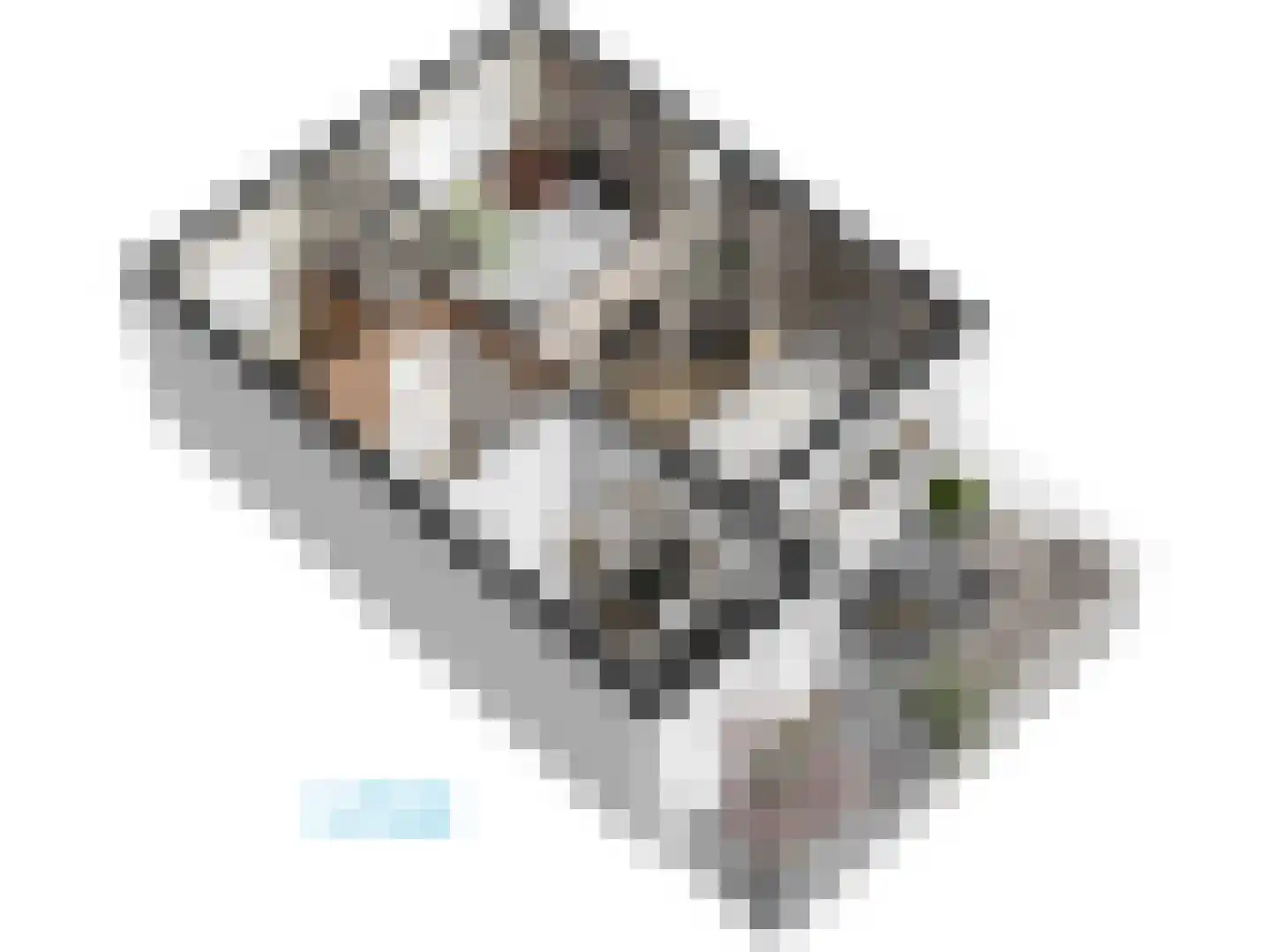 Roomburgerlaan 26 Leiden thumbnail 63