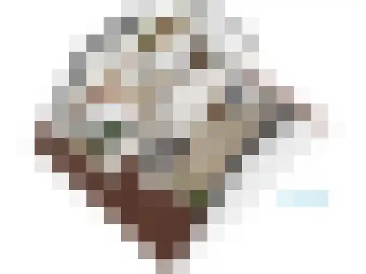 Roomburgerlaan 26 Leiden thumbnail 64