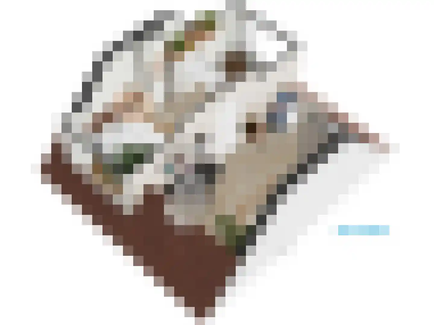 Roomburgerlaan 26 Leiden thumbnail 64