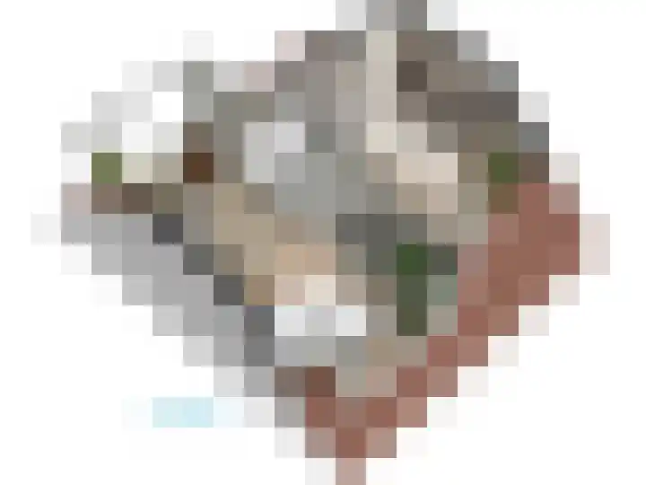 Roomburgerlaan 26 Leiden thumbnail 65