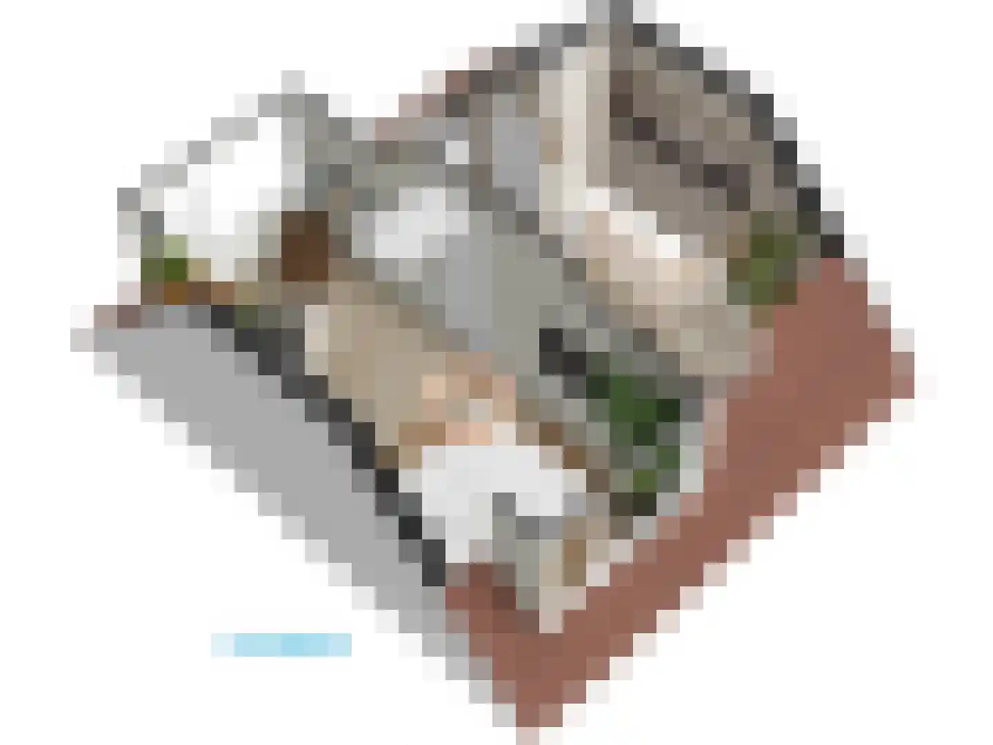 Roomburgerlaan 26 Leiden thumbnail 65