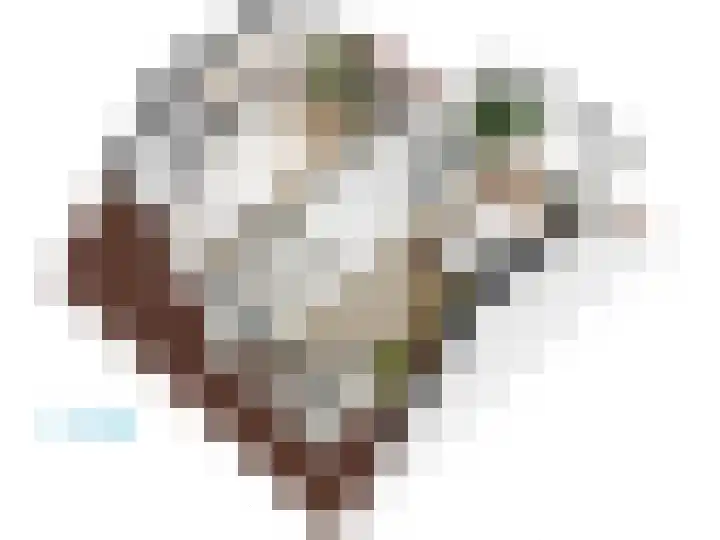 Roomburgerlaan 26 Leiden thumbnail 66