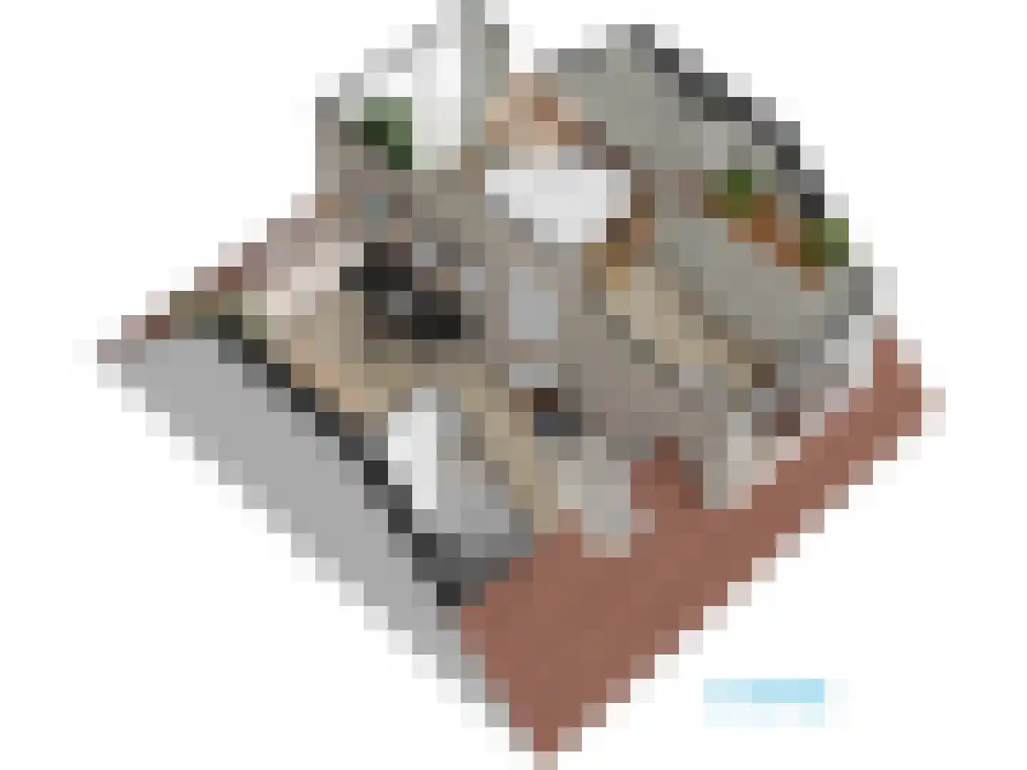Roomburgerlaan 26 Leiden thumbnail 67
