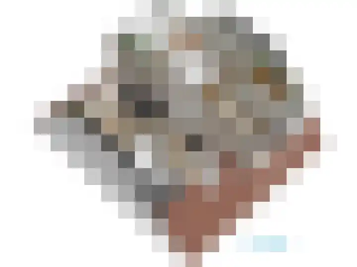 Roomburgerlaan 26 Leiden thumbnail 67
