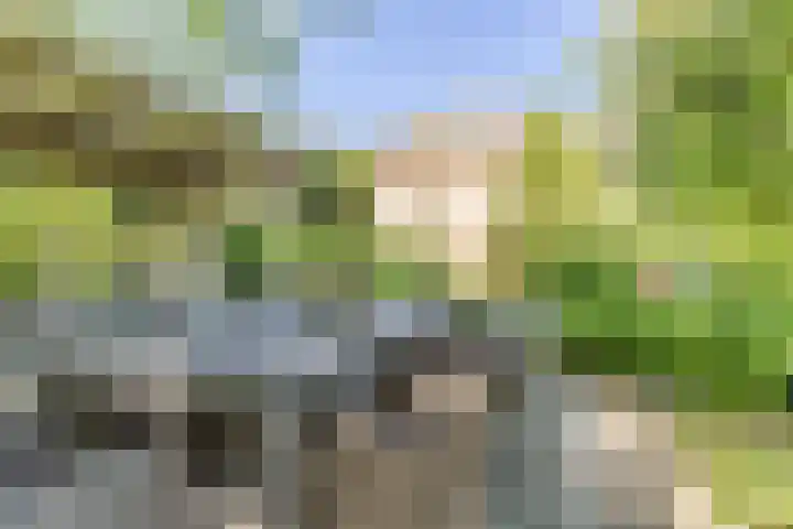 Roomburgerweg 34 Leiden thumbnail 30