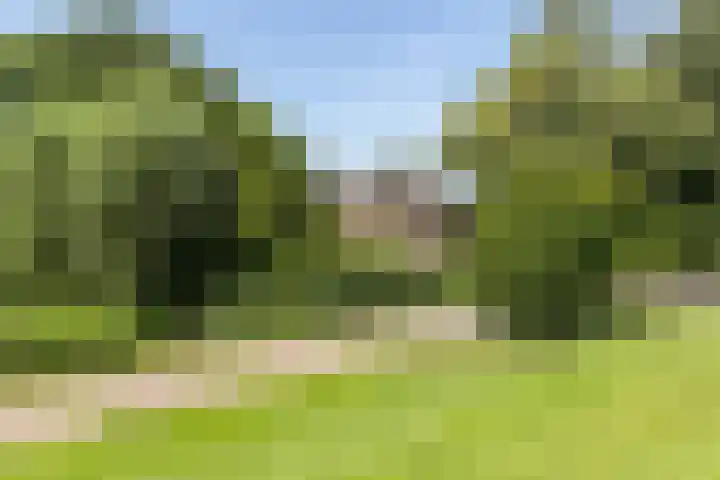 Roomburgerweg 34 Leiden thumbnail 5