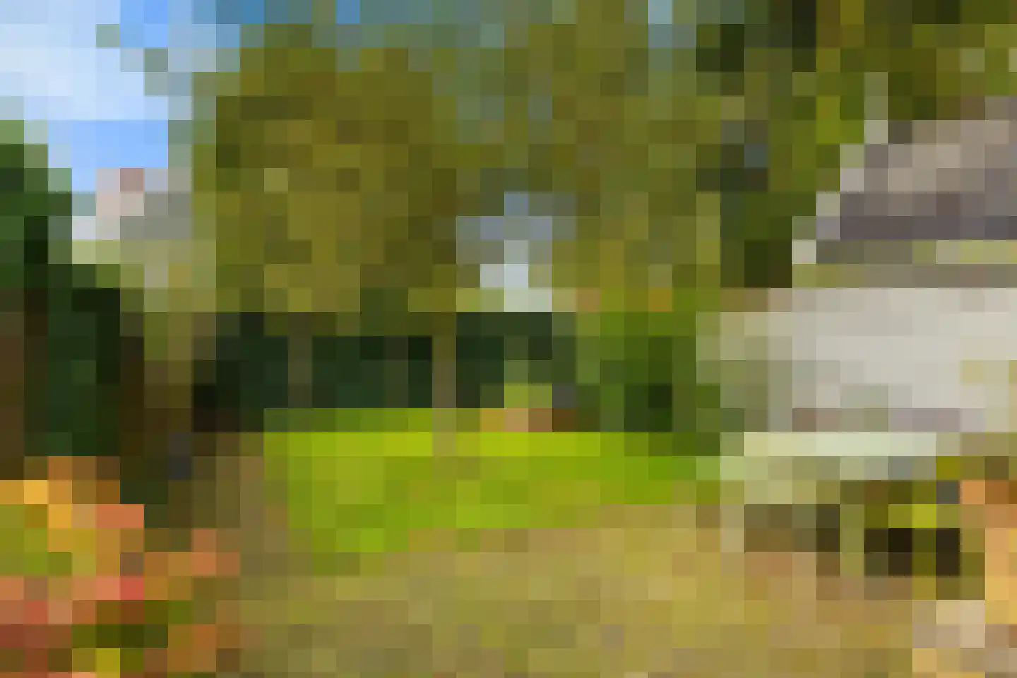 Roomeinde 27 Broek in Waterland thumbnail 22