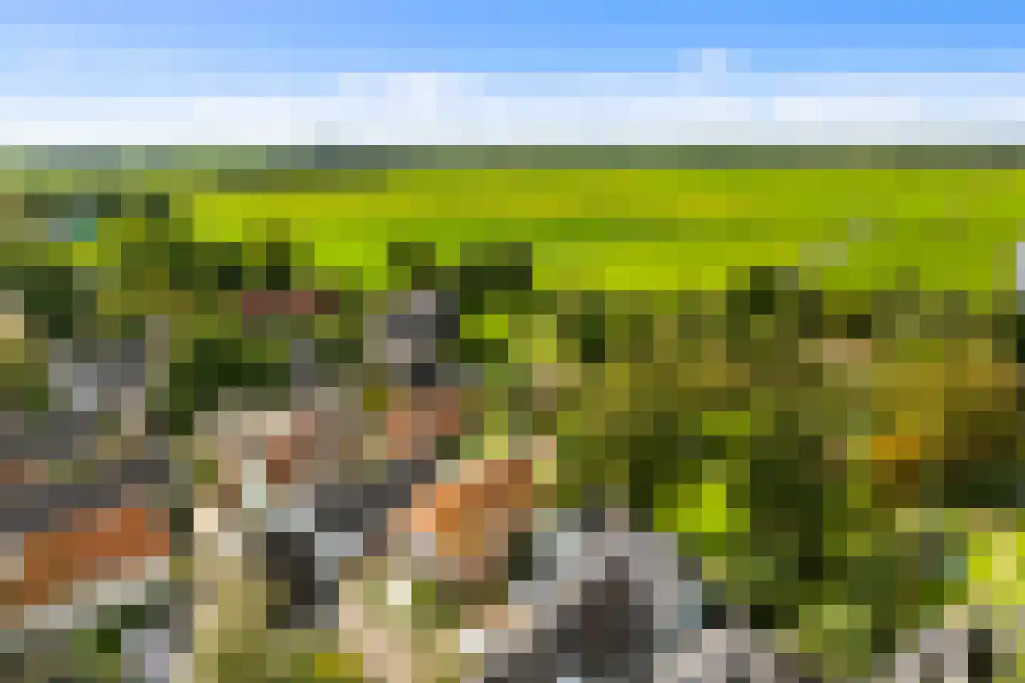 Roomeinde 27 Broek in Waterland thumbnail 5