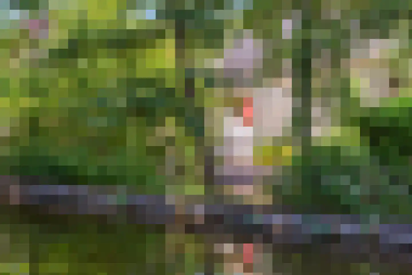 Roomeinde 28 Broek in Waterland thumbnail 7
