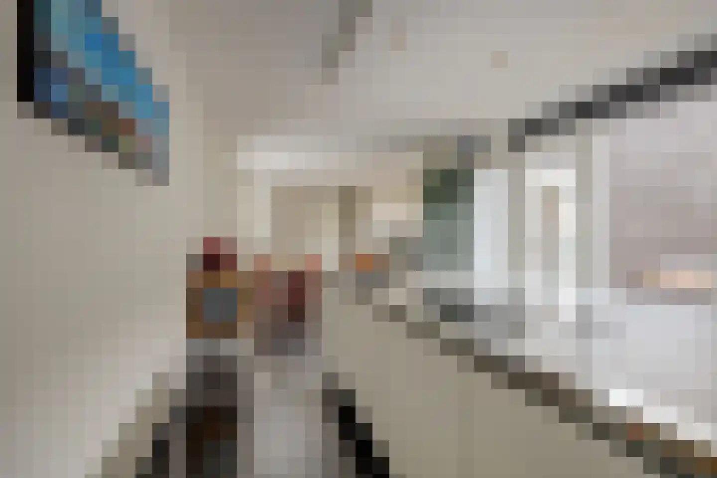 Roomkreek 5 Zuidland thumbnail 10