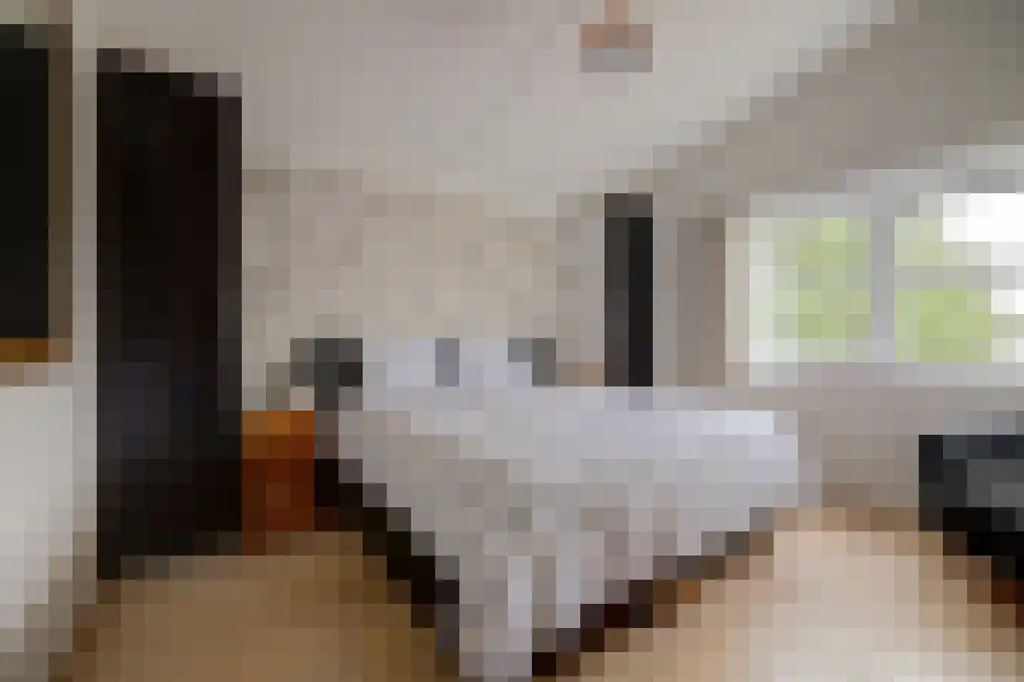 Roomkreek 5 Zuidland thumbnail 13