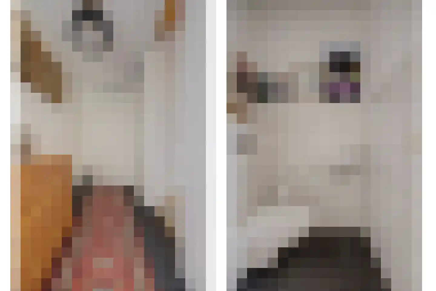 Roomkreek 5 Zuidland thumbnail 4