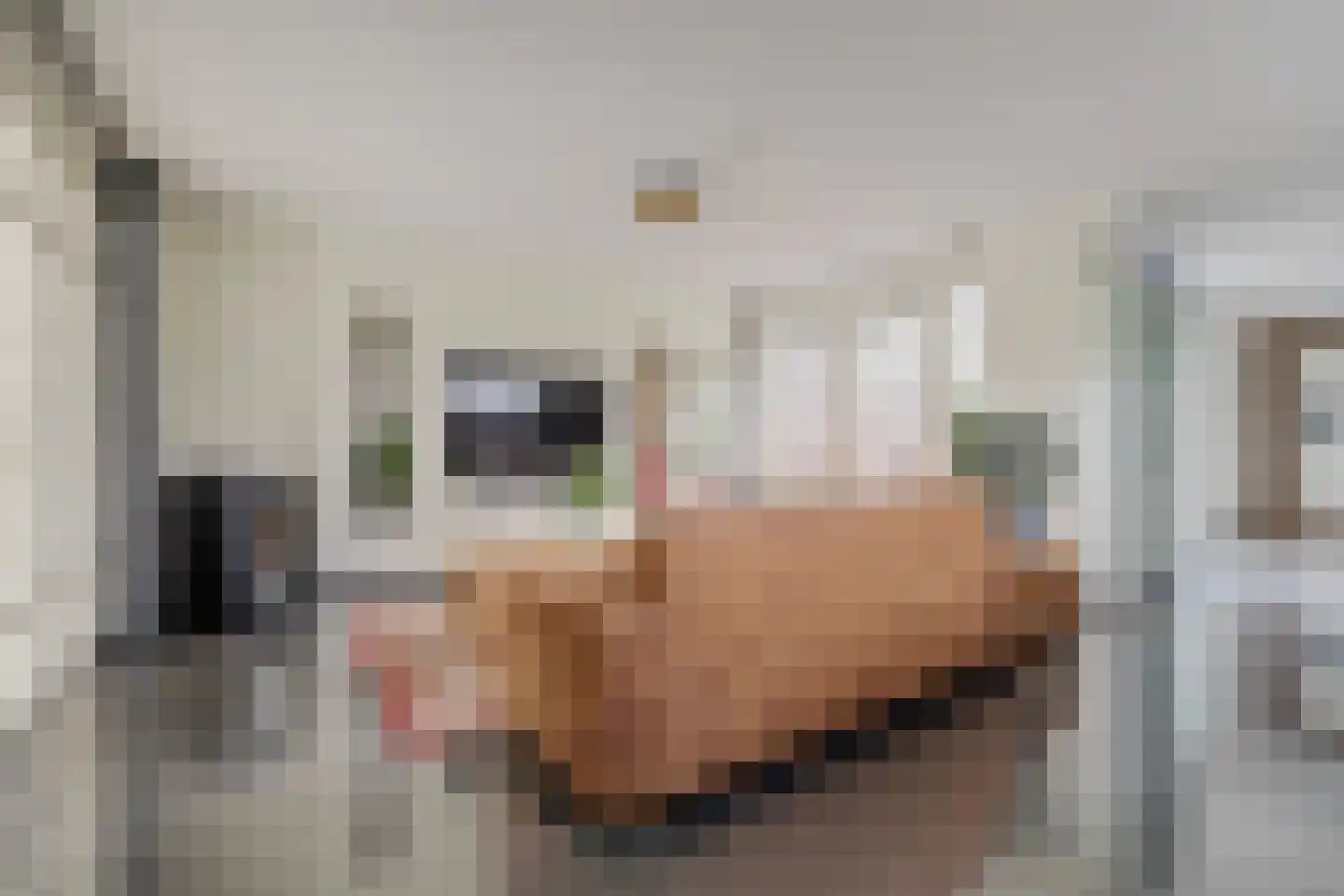 Roomkreek 5 Zuidland thumbnail 5