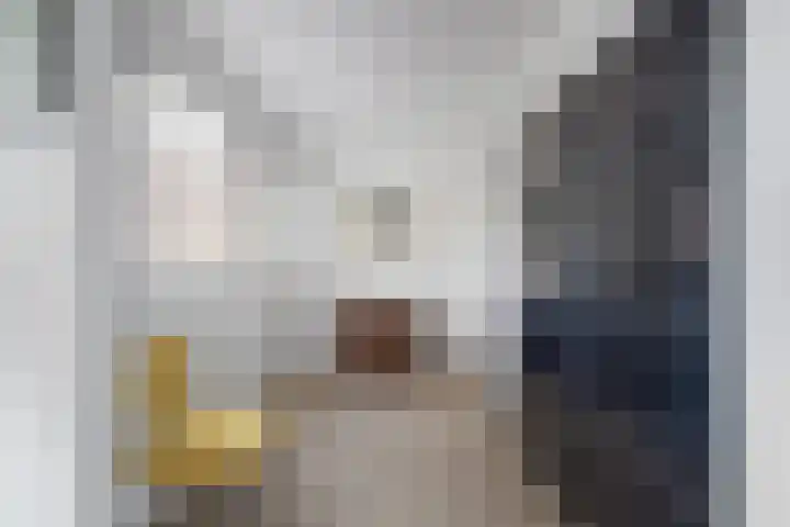 Roomolen 12 Abcoude thumbnail 17