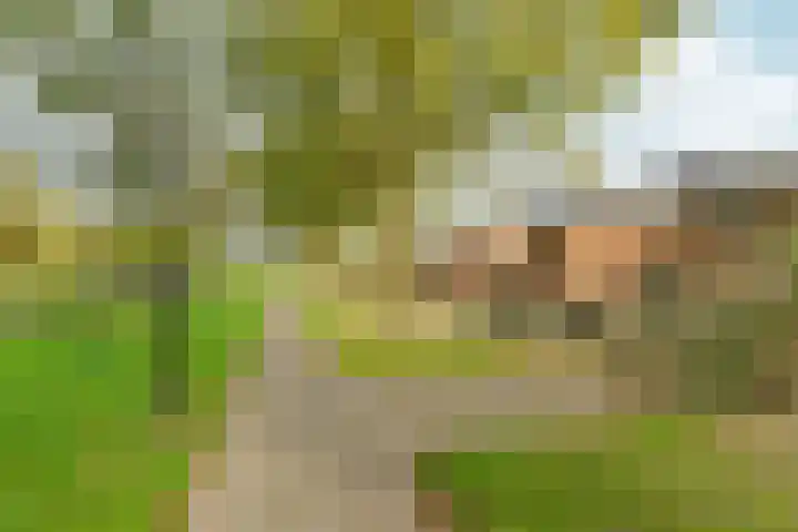 Roomolen 12 Abcoude thumbnail 36