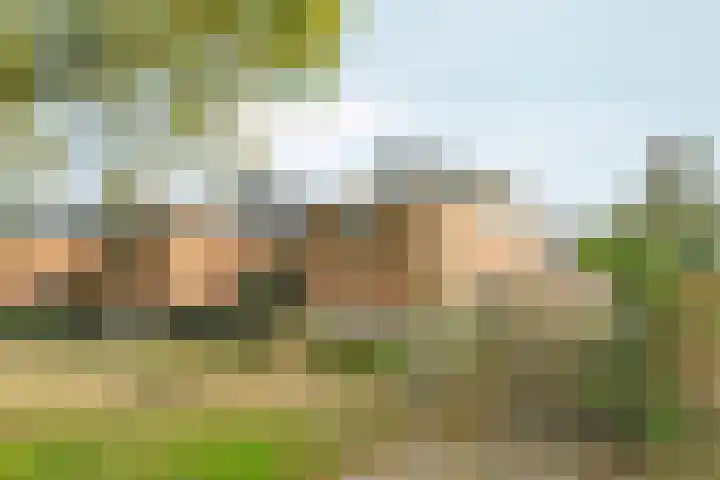 Roomolen 12 Abcoude thumbnail 37