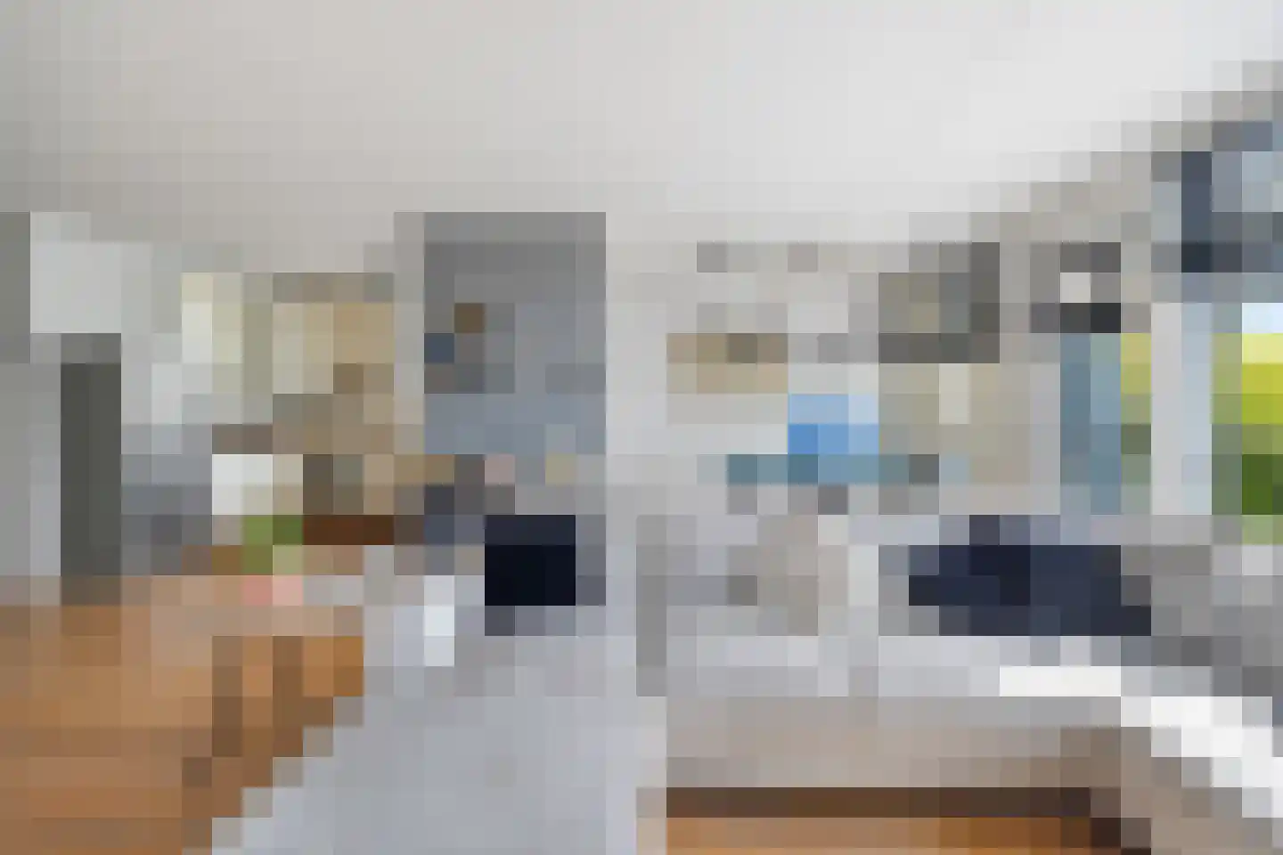Roomolenstraat 35 Leidschendam thumbnail 13