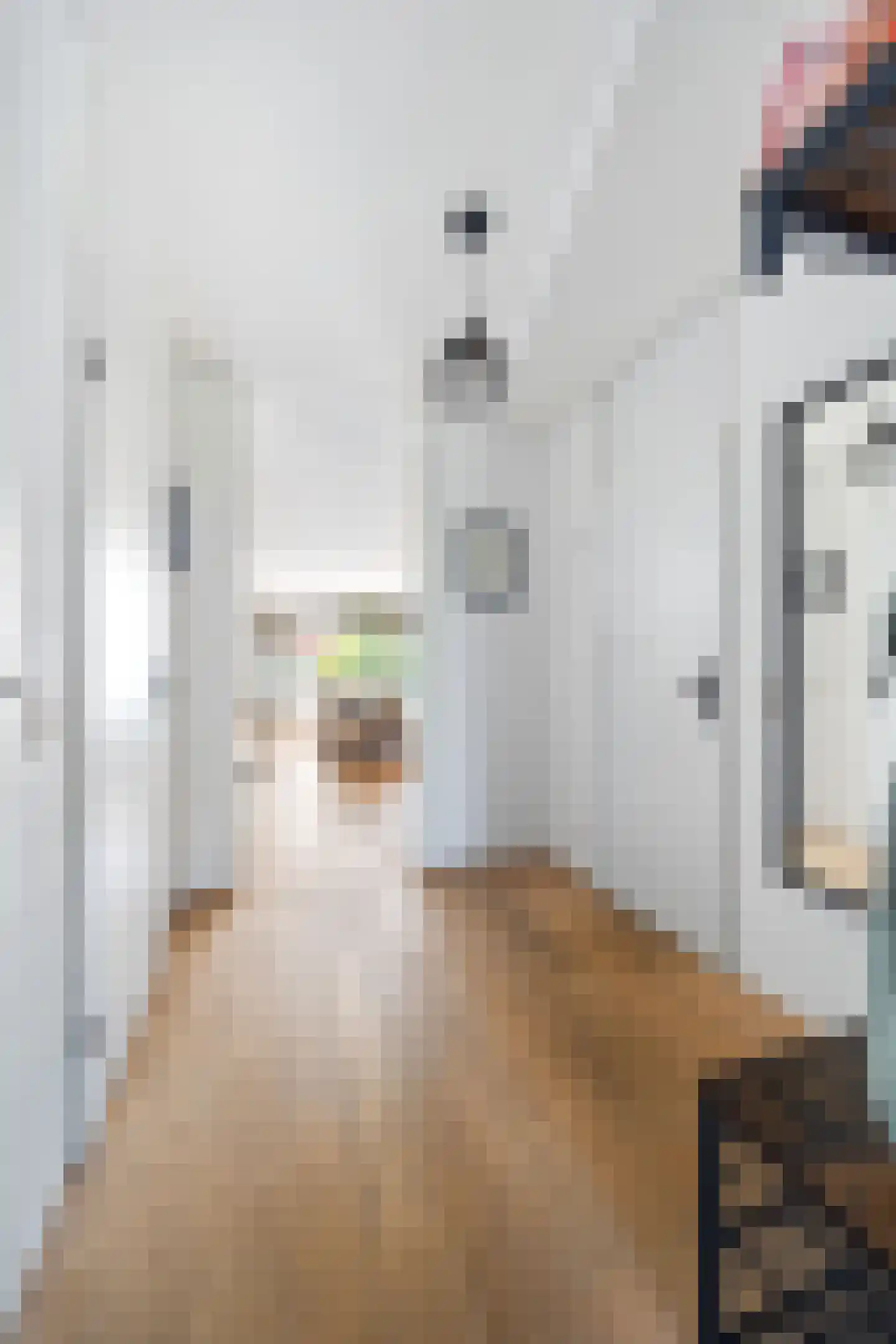Roomolenstraat 35 Leidschendam thumbnail 20