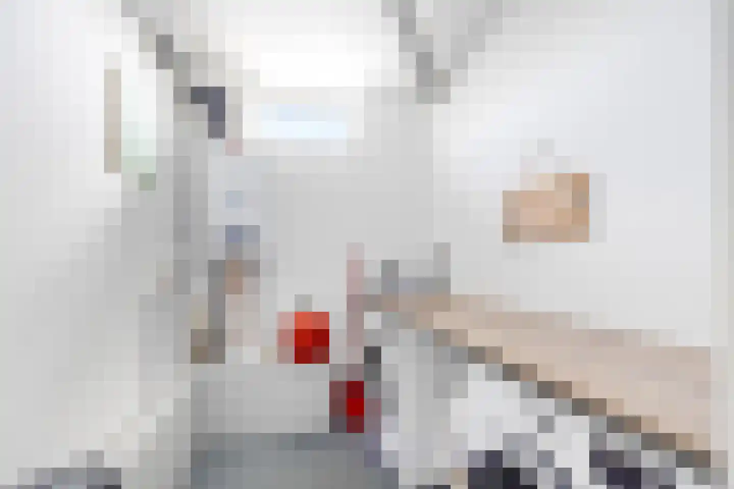 Roomolenstraat 35 Leidschendam thumbnail 28