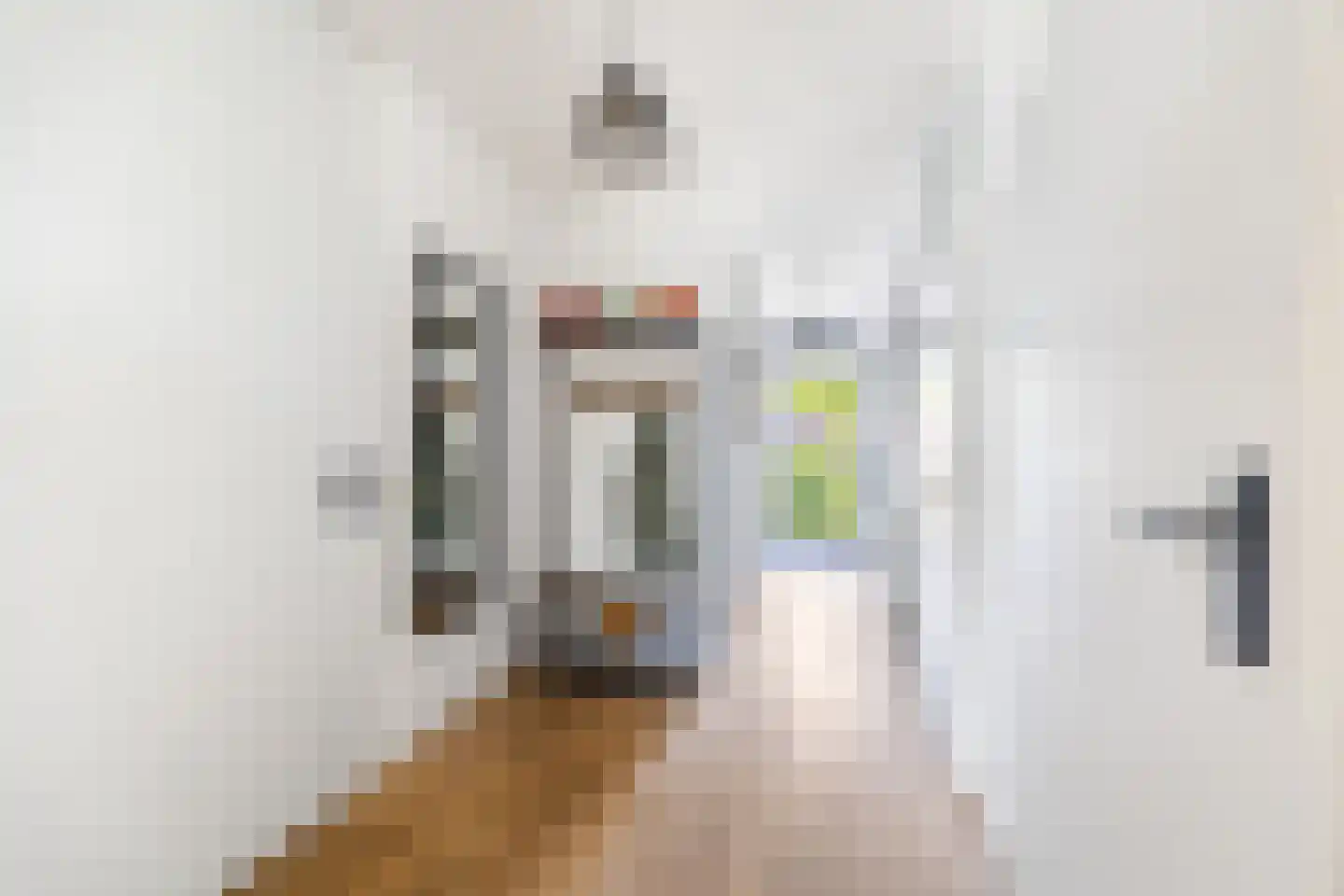 Roomolenstraat 35 Leidschendam thumbnail 4