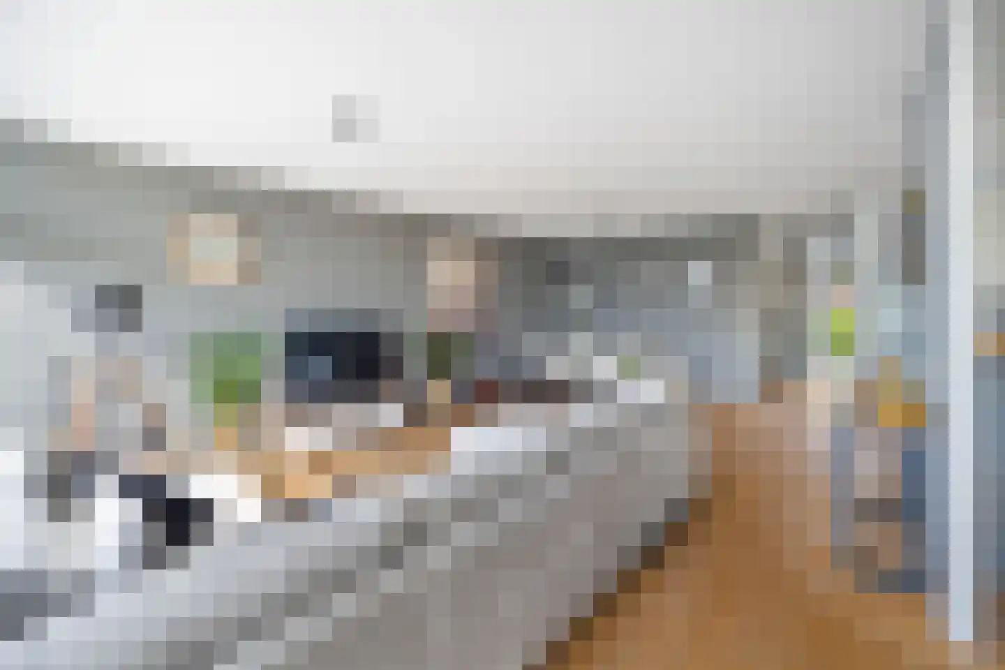 Roomolenstraat 35 Leidschendam thumbnail 7