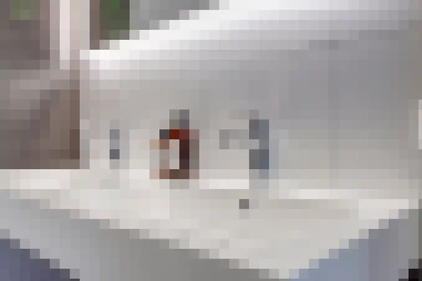 Roompolderstraat 27 Gouda thumbnail 14