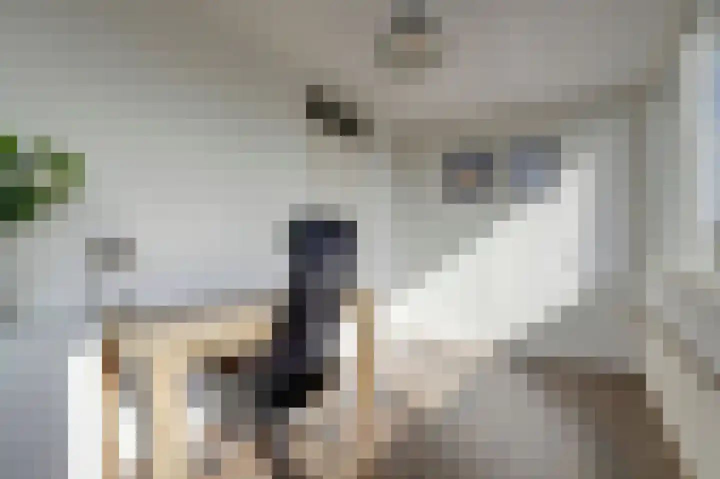 Roompolderstraat 27 Gouda thumbnail 23