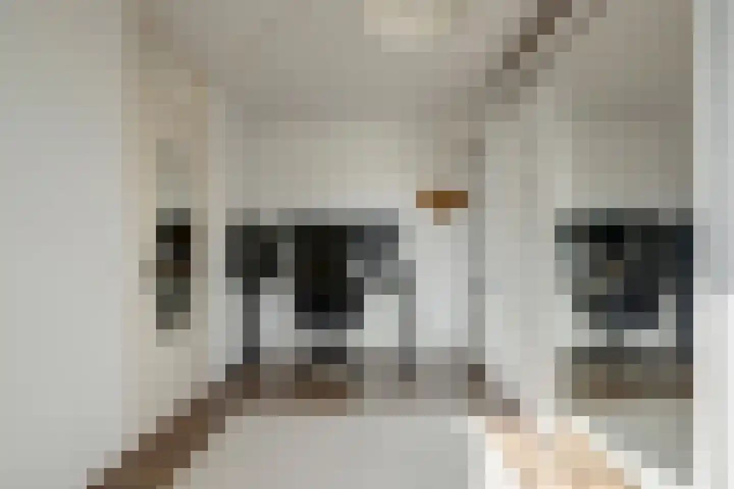 Roompolderstraat 27 Gouda thumbnail 28