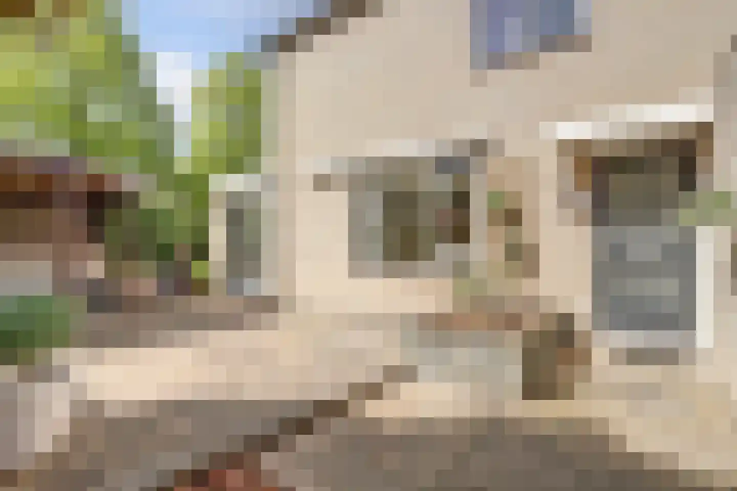 Roompolderstraat 27 Gouda thumbnail 29