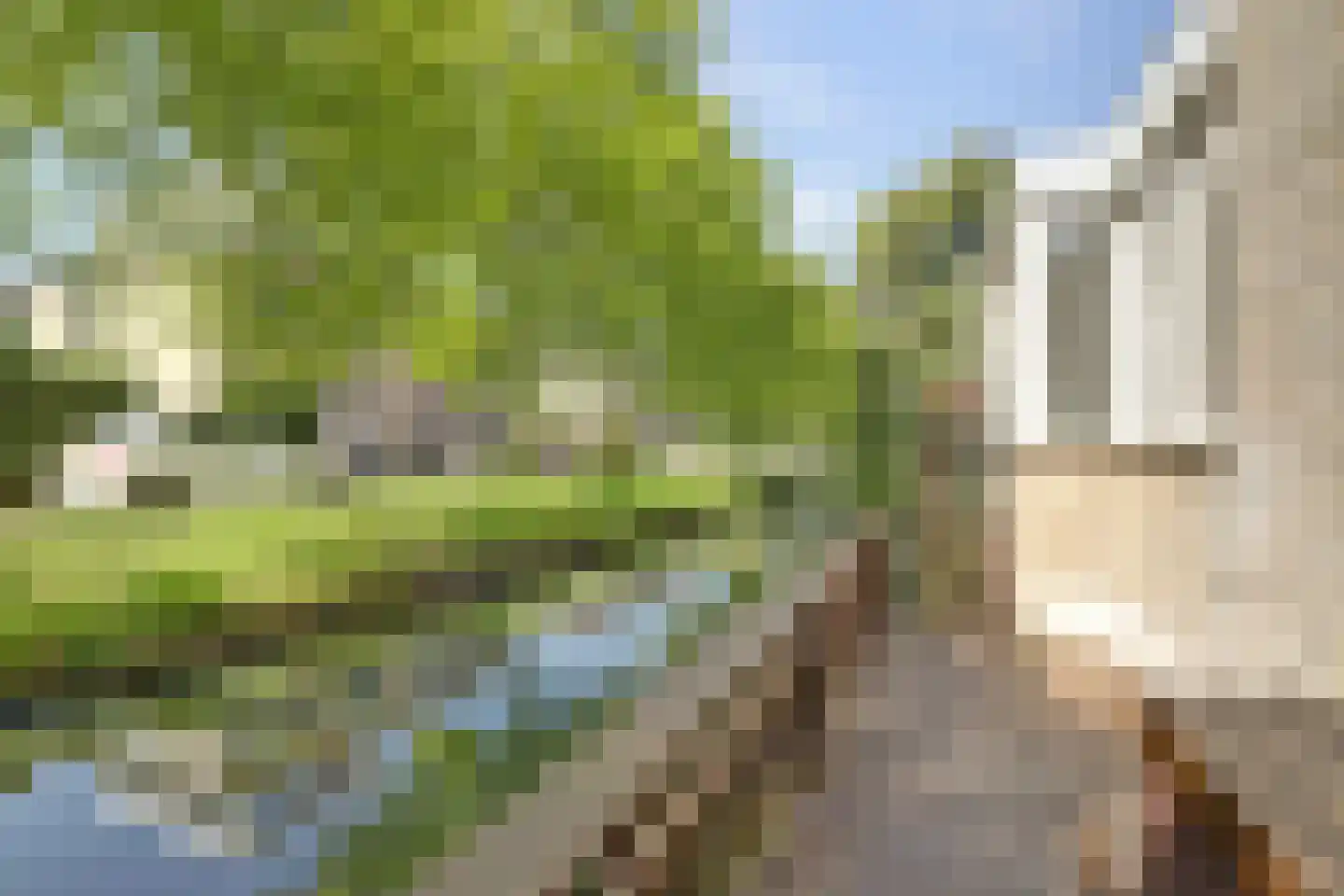 Roompolderstraat 27 Gouda thumbnail 34