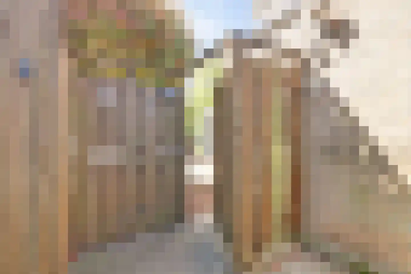Roompolderstraat 27 Gouda thumbnail 35