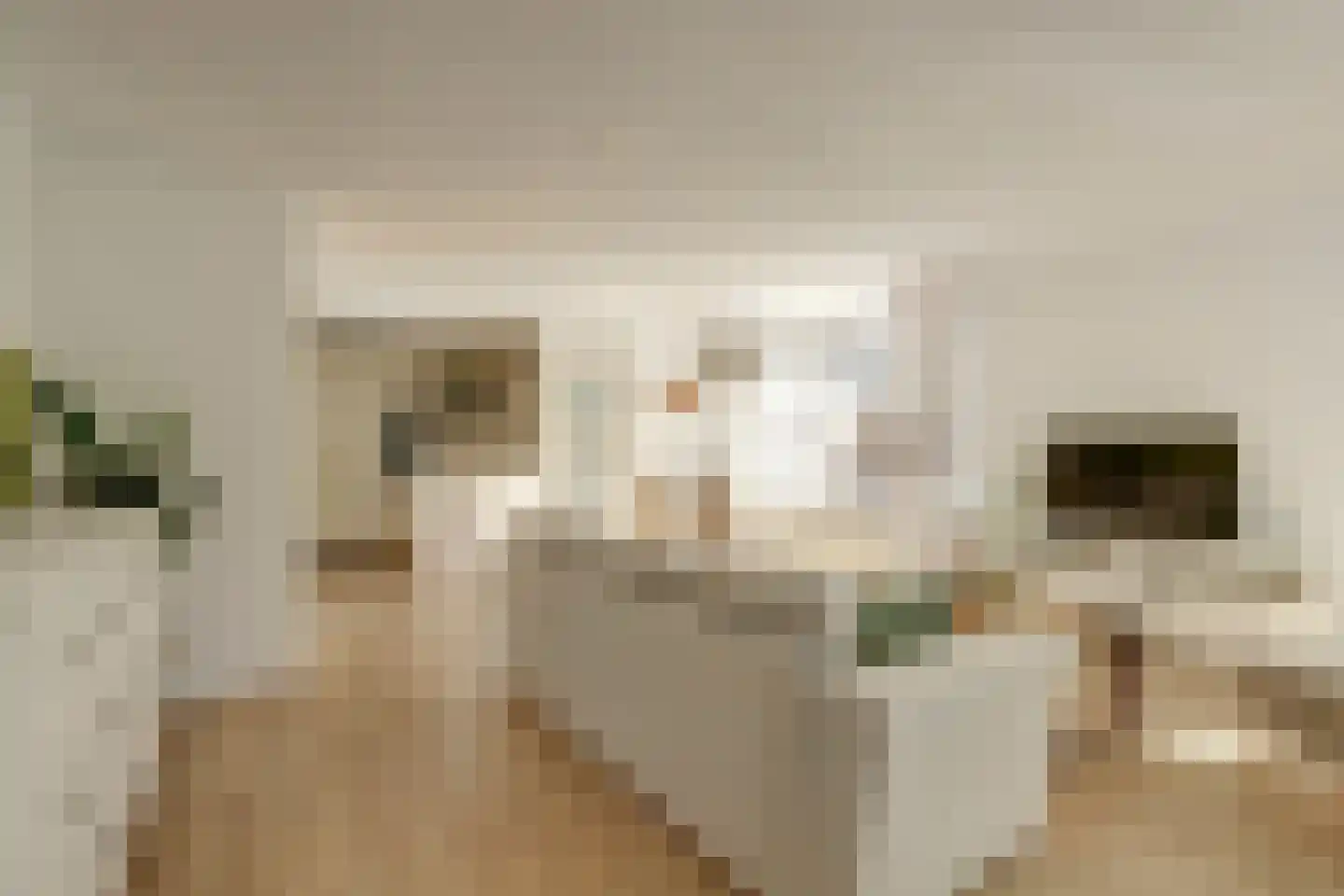 Roompolderstraat 27 Gouda thumbnail 8